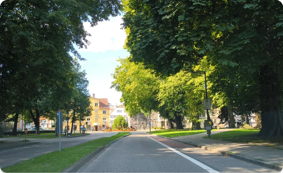 Baumgesäumte Straße in Wohngebiet